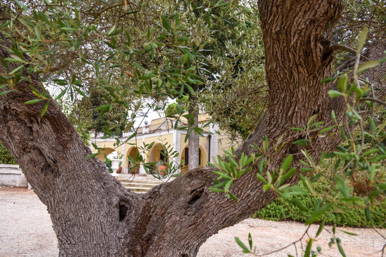 Villa Luciana Martina Franca Luaran gambar